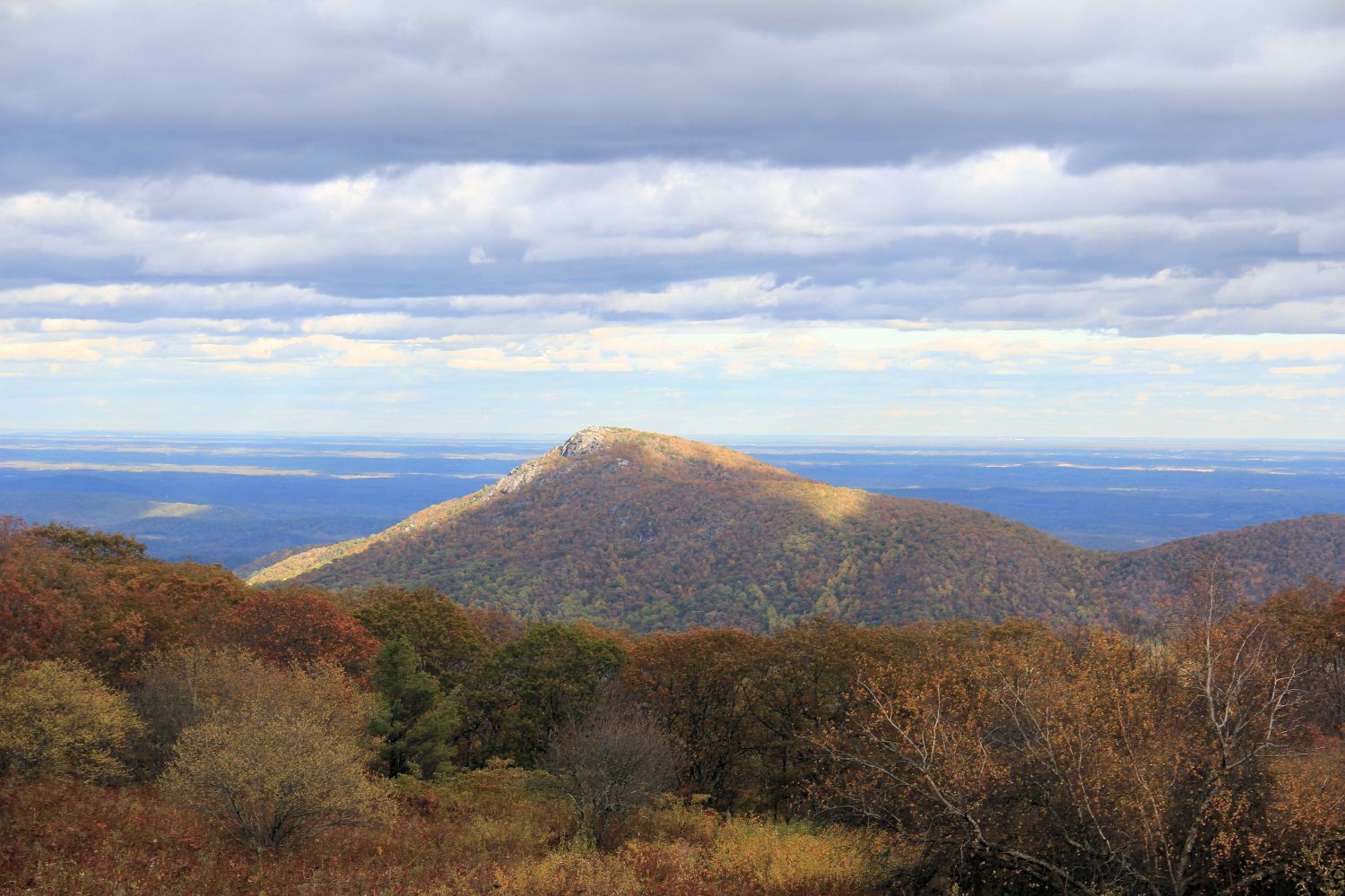 Hawksbill Trail 